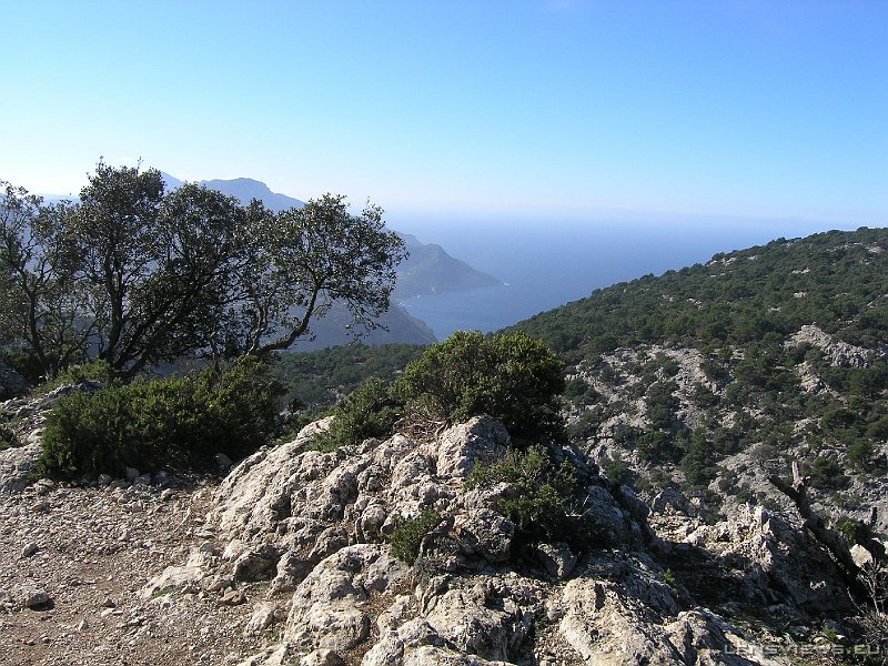 2006_11_23 13_01_37 OLYMPUS DIGITAL CAMERA         